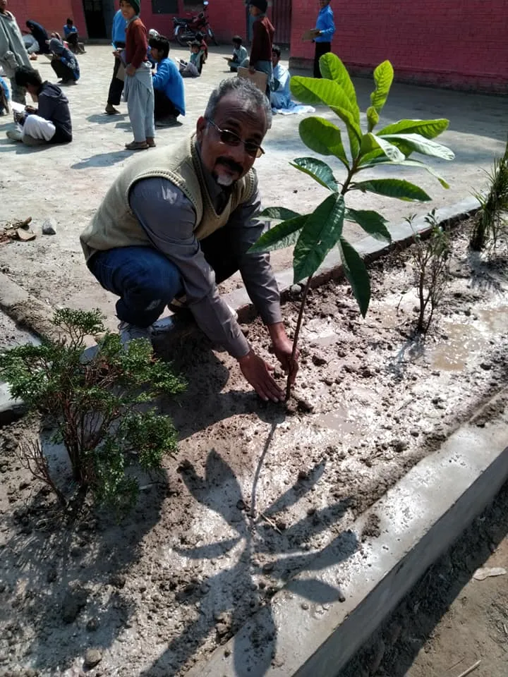 Green Seekers Activity